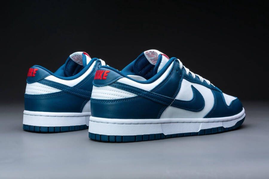 Nike Dunk Low Valerian Blue DD1391-400 BLAUW Schoenen