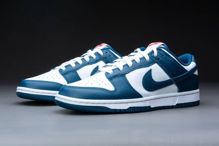 Nike Dunk Low Valerian Blue DD1391-400 BLAUW Schoenen