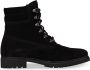 Panama Jack Dames Veterschoenen Panama 03 B86 Velour Negro Black Zwart - Thumbnail 3