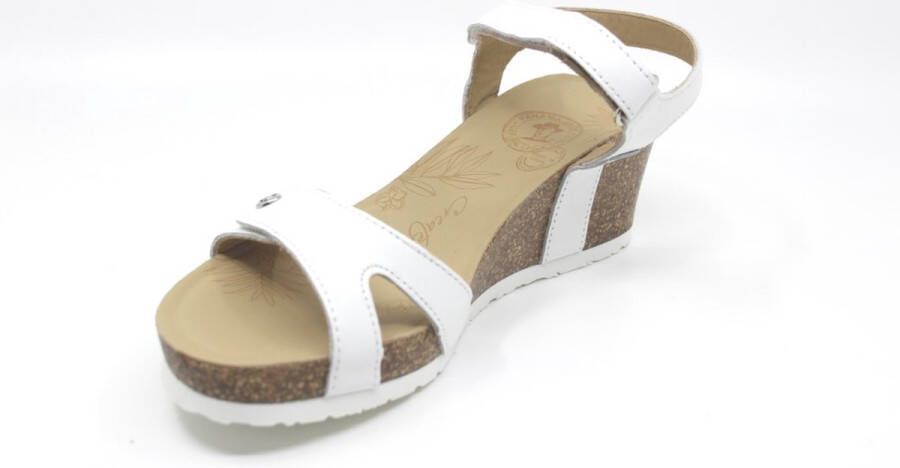 Panama Jack Julia Basics B17 sandalen met sleehak wit