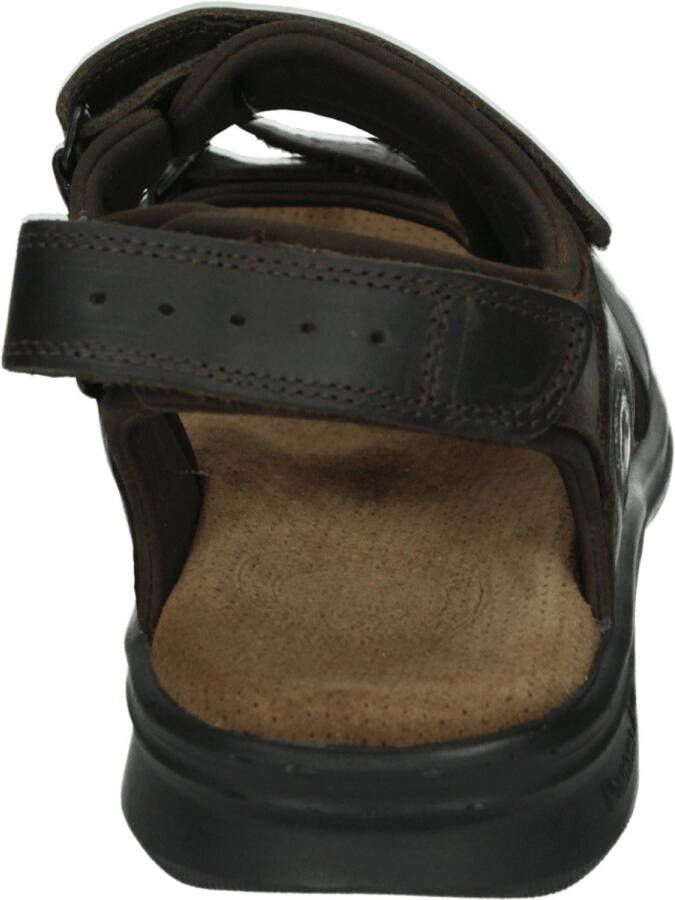 Panama Jack Salton Basics sandalen bruin