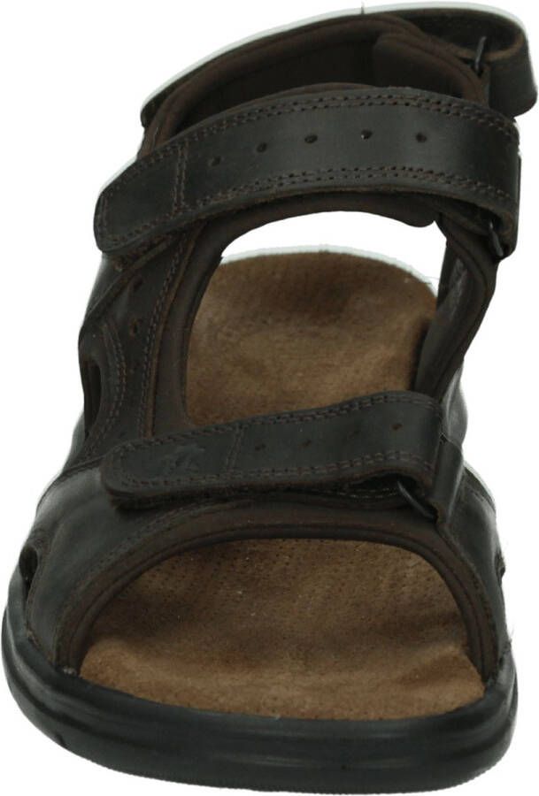 Panama Jack Salton Basics sandalen bruin