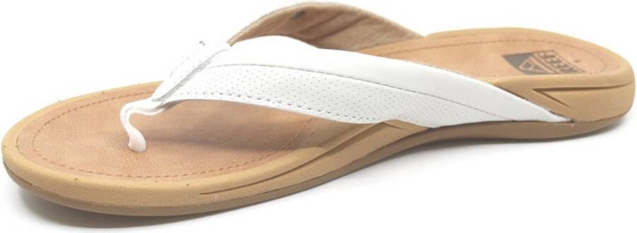 Reef Pacific Dames Teenslippers Ci7979 Kleur Bruin