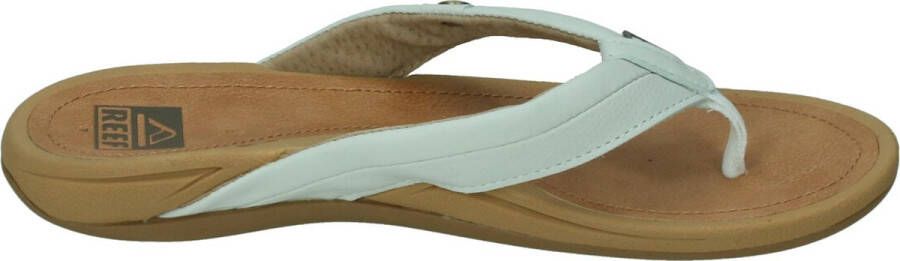 Reef Pacific Dames Teenslippers Ci7979 Kleur Bruin