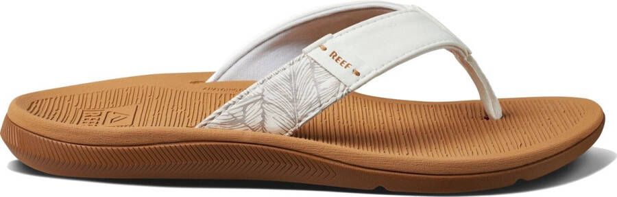 Reef Santa Ana slippers dames bruin