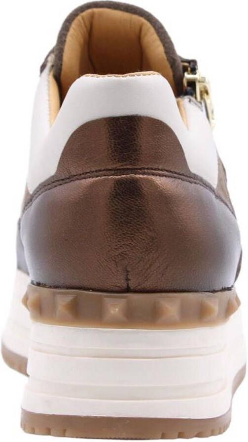 Scapa Sneaker Brown