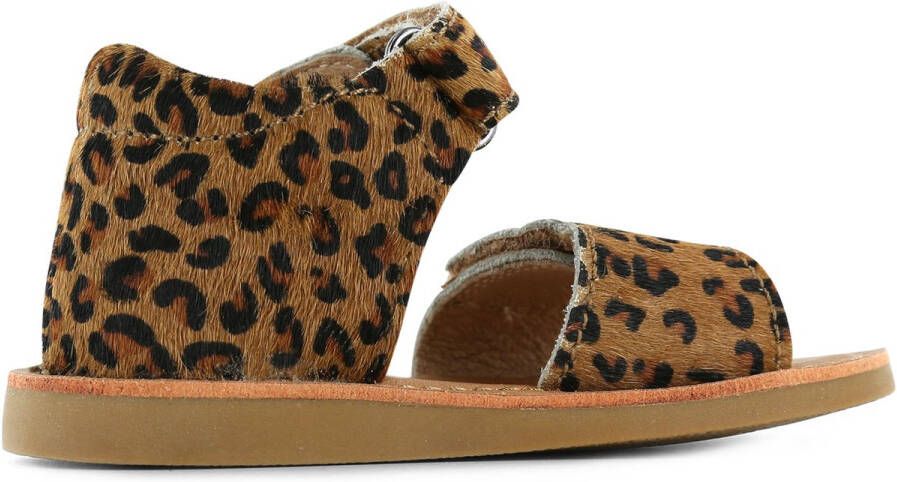 Shoesme Sandalen Meisjes Leopardo Cognac Leer