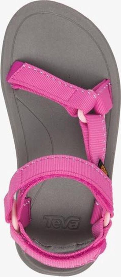 Teva Hurricane XLT2 Kids Wandelsandalen Grijs Roze