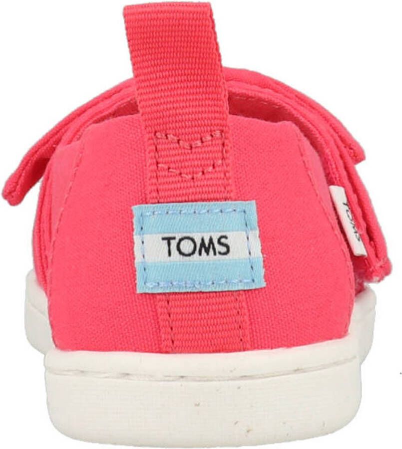 TOMS Alpargata 10017790 Roze