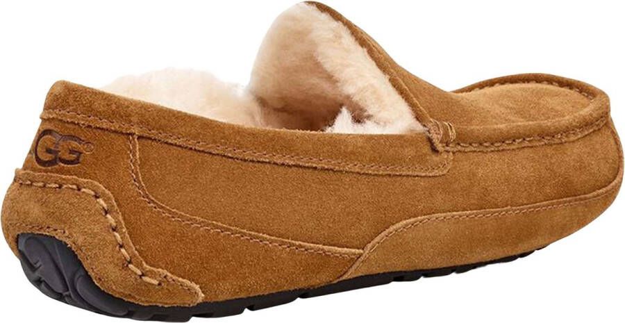 UGG Pantoffels Heren Ascot Maat: 45 Materiaal: Suède Kleur: Cognac - Foto 15