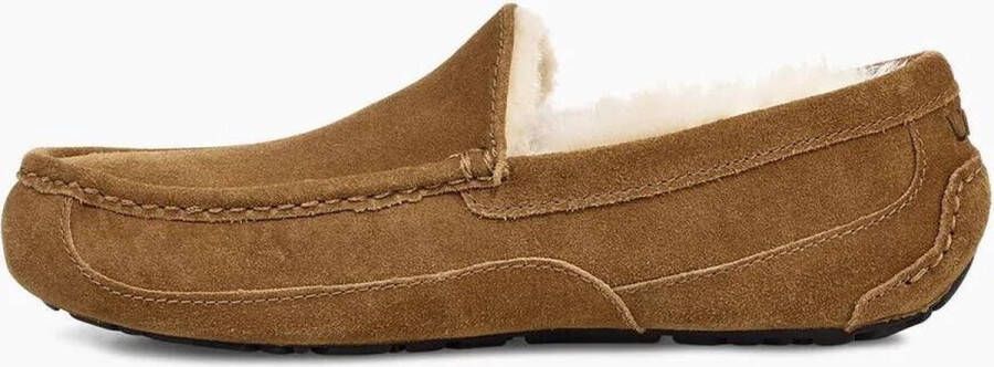 UGG Pantoffels Heren Ascot Maat: 45 Materiaal: Suède Kleur: Cognac - Foto 13