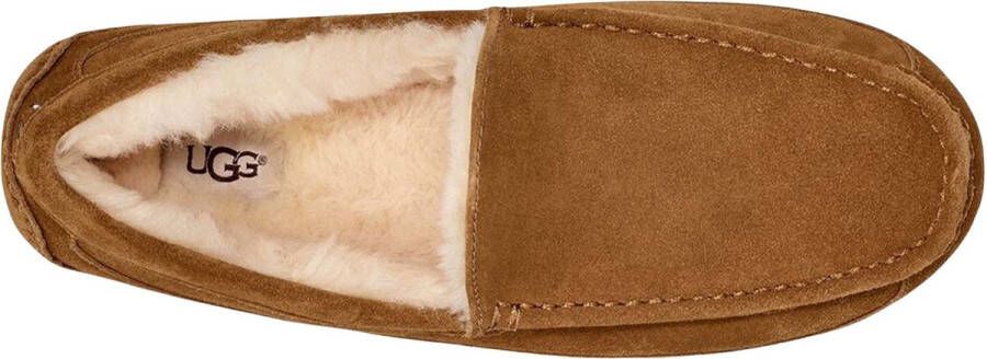 UGG Pantoffels Heren Ascot Maat: 45 Materiaal: Suède Kleur: Cognac - Foto 14