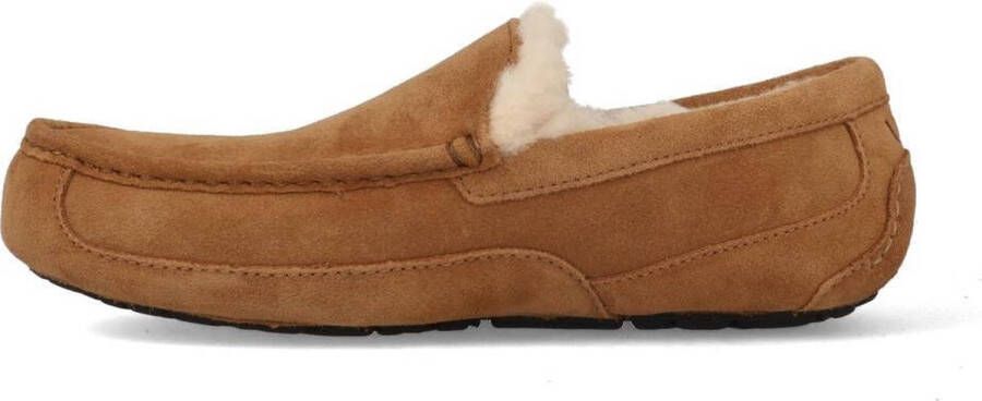 UGG Ascot Heren Slippers Chestnut