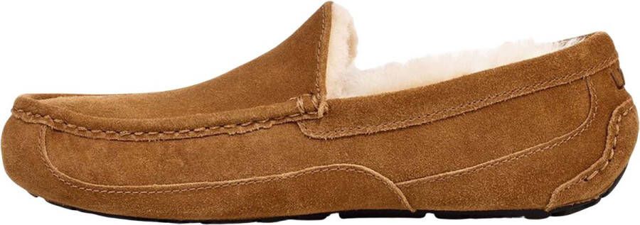 UGG Ascot Heren Slippers Chestnut