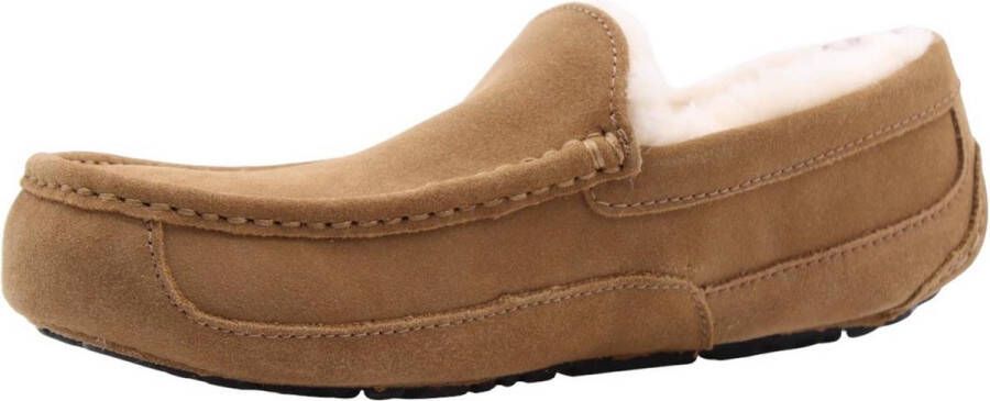 UGG Ascot Heren Slippers Chestnut