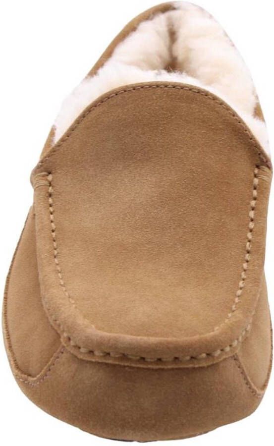 UGG Ascot Heren Slippers Chestnut