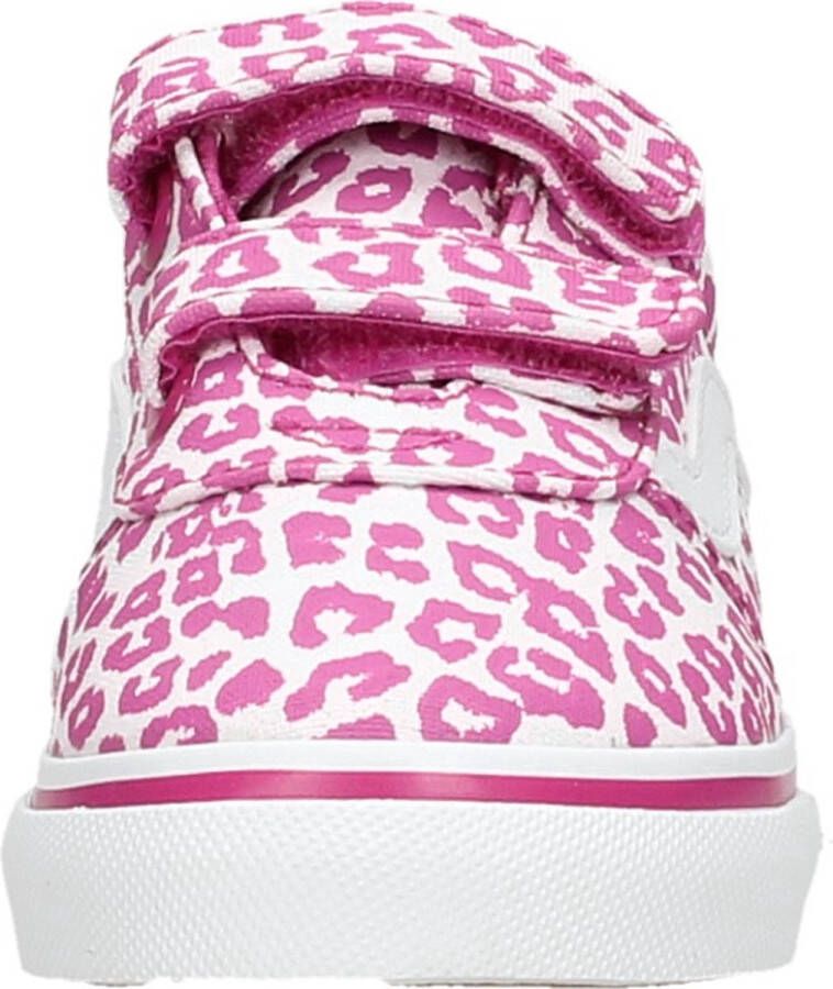 Vans Ward V FUCHSIA