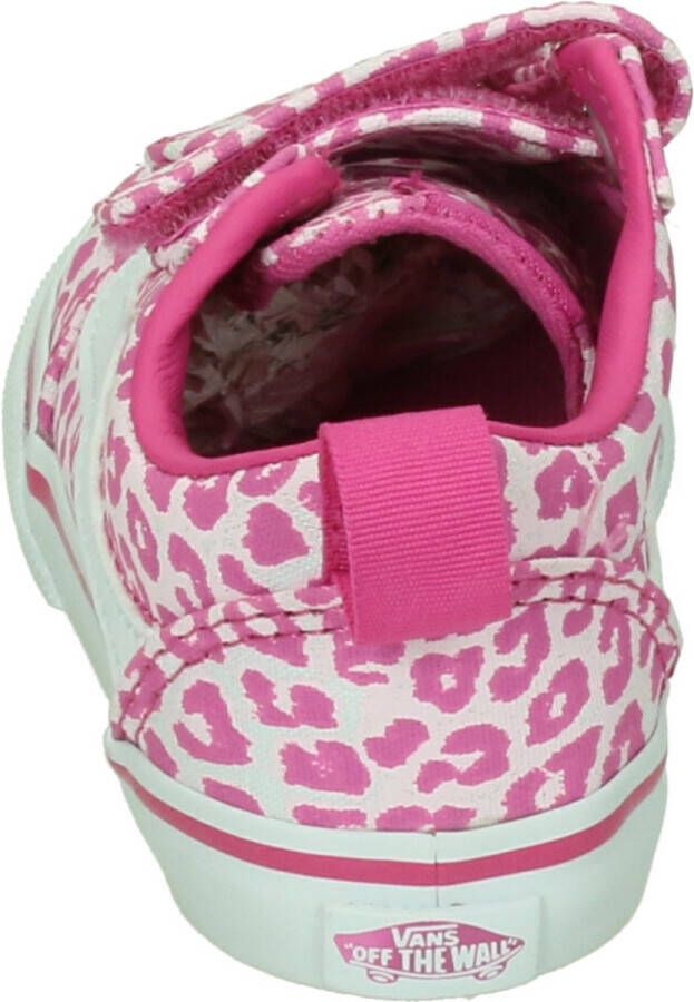 Vans Ward V FUCHSIA