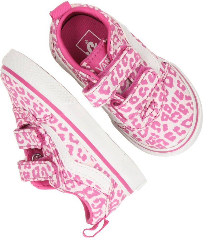 Vans Ward V FUCHSIA