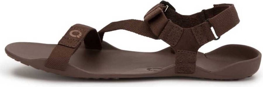 XERO SHOES Z-Trek II Sandalen Brown Heren