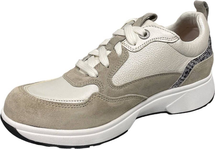 Xsensible Grenoble 30215.3.105-sneakers -veterschoen