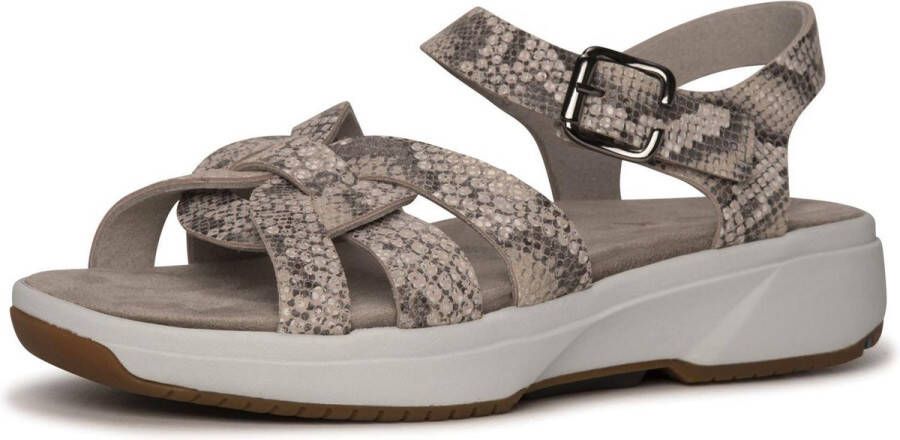 Xsensible Vrouwen Python Sandalen Damesschoenen 30500.5 Nude