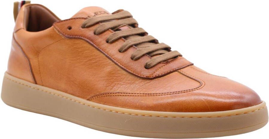 Flecs Muscadet Sneaker Stijlvol en Trendy Brown Heren