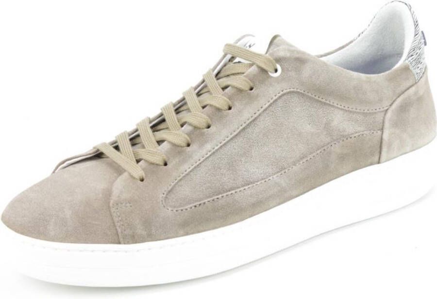 Floris van bommel 13265 05 Taupe G+ Wijdte Sneakers lage-sneakers - Foto 1