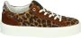 Floris van Bommel SFW-10106-23-01 Volwassenen Lage sneakersDames sneakers Bruin - Thumbnail 3