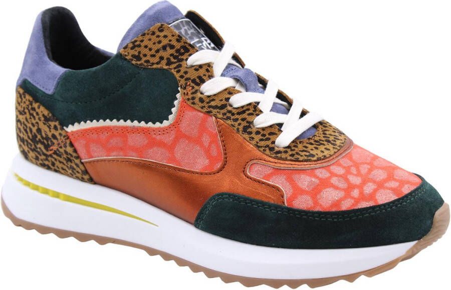 Floris van Bommel Balma Sneaker Multicolor