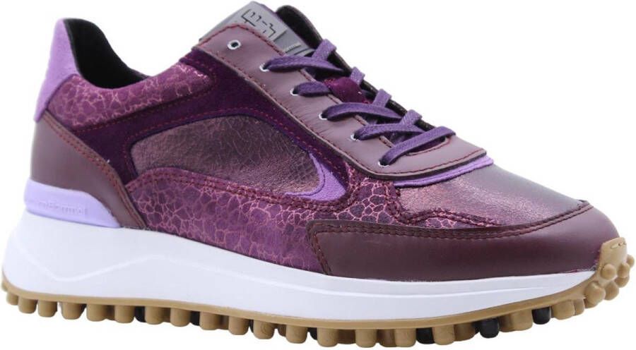 Floris van bommel 10099 Noppi 19.11 Purple G-Wijdte Lage sneakers