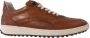 Floris Van Bommel Cognac Lage Sneakers Sfm-10192 - Thumbnail 2