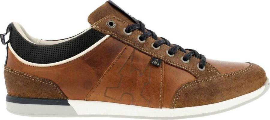 Gaastra Bayline sneakers cognac