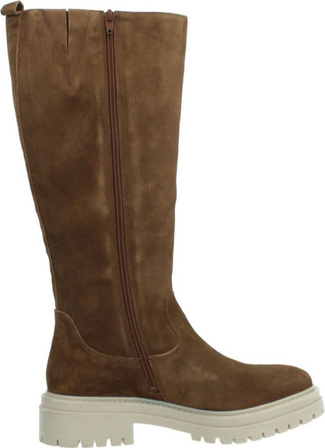 Geox Stijlvolle High Boots in Iridea Design Brown Dames