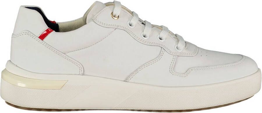 GEOX Dalyla A Sneakers Beige Vrouw