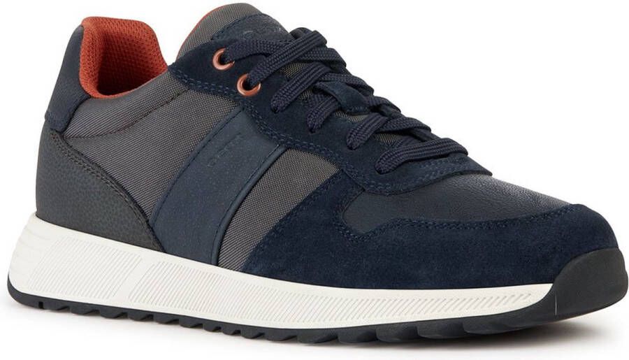 GEOX Molveno Sneakers Grijs Man