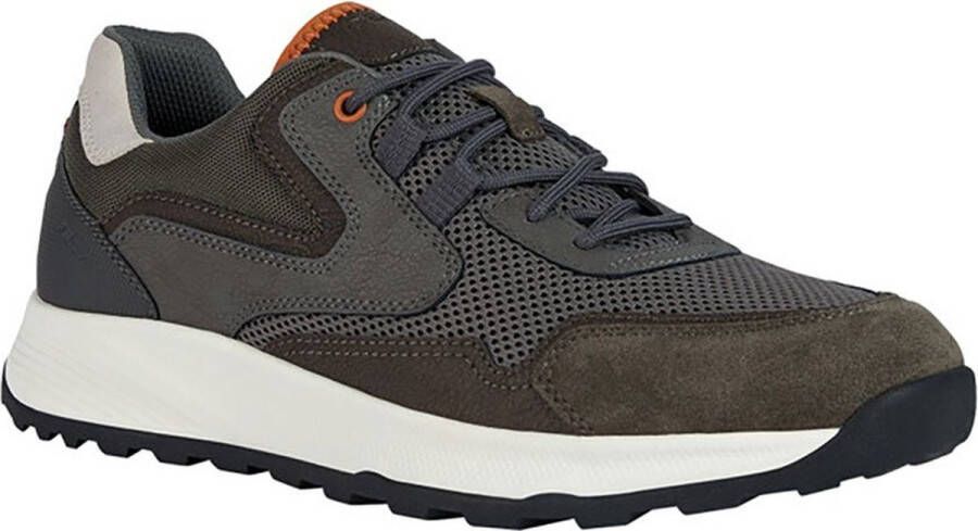 GEOX Terrestre B Schoenen Grijs Man