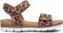 Giga Leopard Sandalen bruin Leer Dames - Thumbnail 17