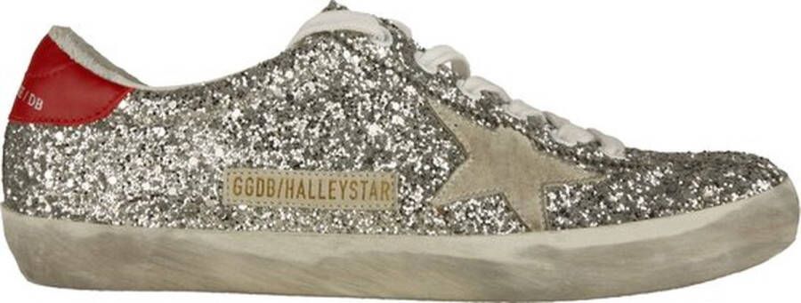 Golden Goose Sneakers Grijs Dames