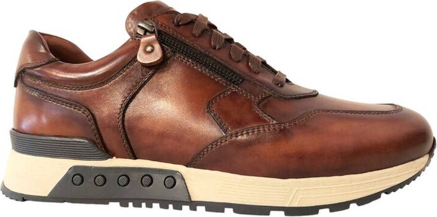 Greve Sneakers Haarlem 4299.03 Cognac Wijdte K