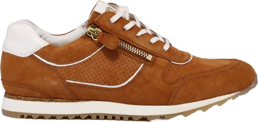 Hassi-A Hassia 301919 Volwassenen Lage sneakers Kleur: Cognac