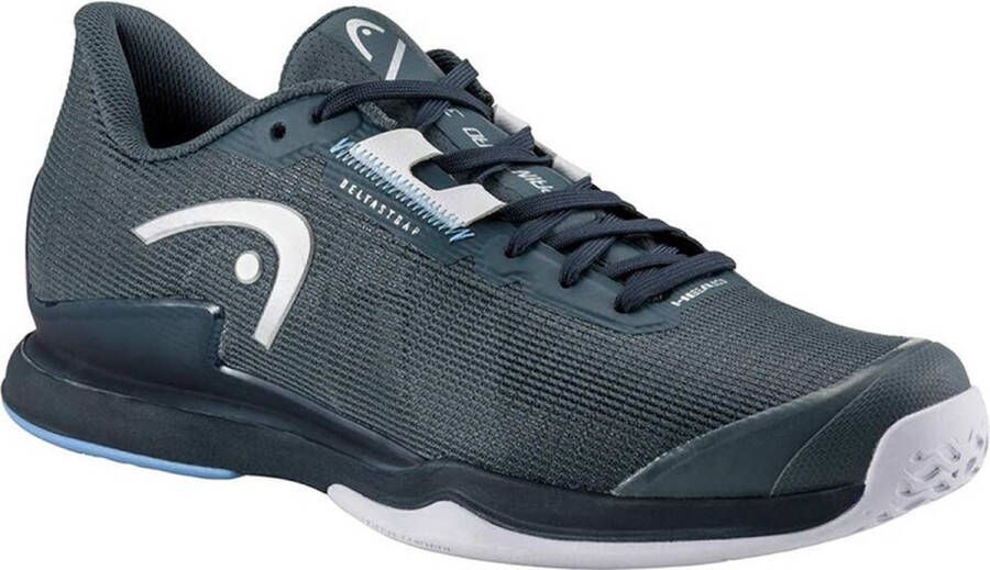 HEAD RACKET Sprint Pro 3.5 Allcourt Schoenen Blauw Man