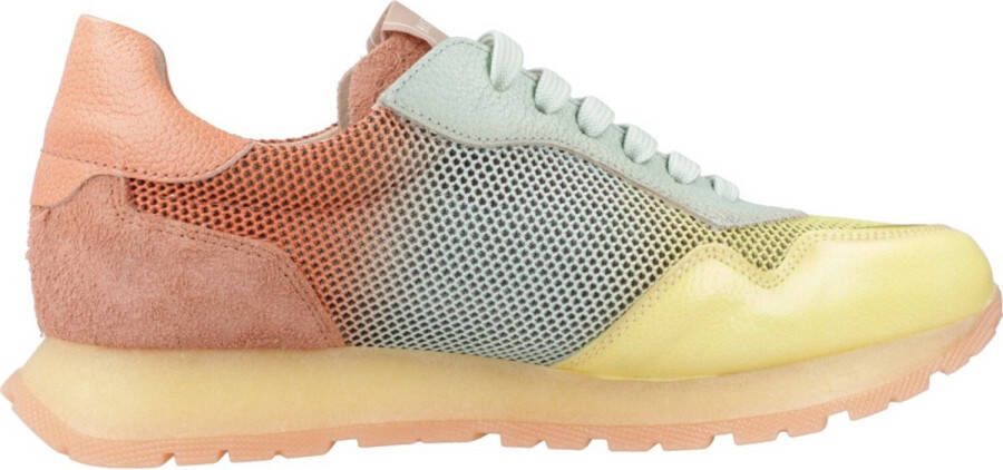 Hispanitas Sporty Chv253812 Sneakers Multicolor Dames