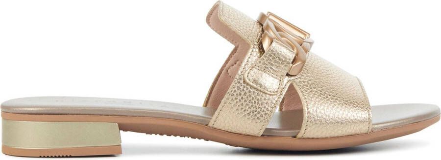 HISPANITAS Slippers Dames Hv243268 Maat: 37 Materiaal: Leer Kleur: Goud