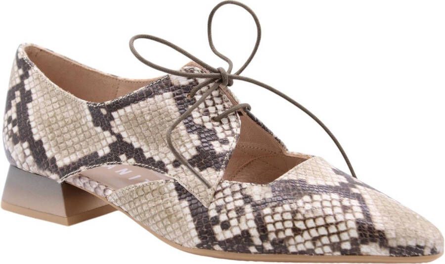 Hispanitas Dali 253858 snake taupe multi bruin