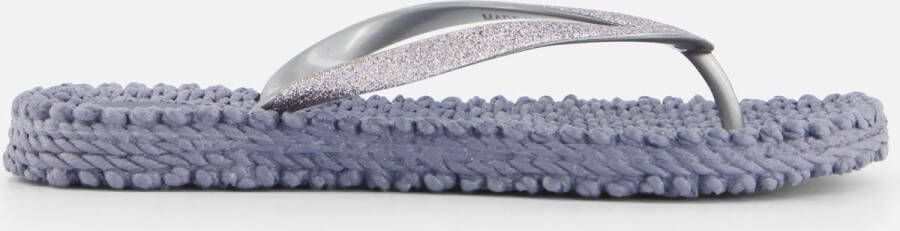 Ilse Jacobsen Vrouwen Rubber Slippers Teenslipper cheerful01 Zilver