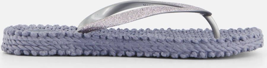 Ilse Jacobsen Vrouwen Rubber Slippers Teenslipper cheerful01 Zilver