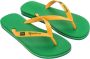 Ipanema Klassieke Brasil II Herenslippers Multicolor Heren - Thumbnail 1