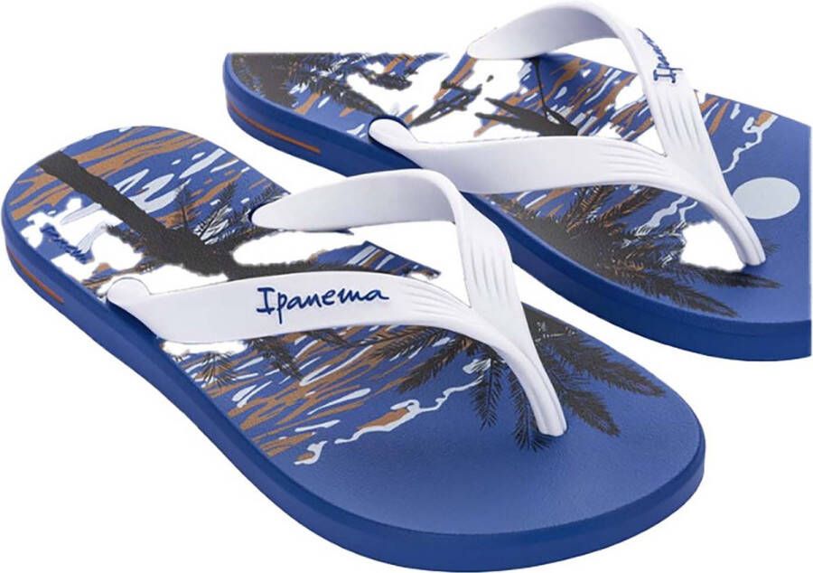 Ipanema Slippers Plaats 10 Temas 4E Ad Streetwear Volwassen