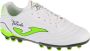 Joma Toledo Jr 2502 AG TOJS2502AG voor een jongen Wit Voetbalschoenen - Thumbnail 1